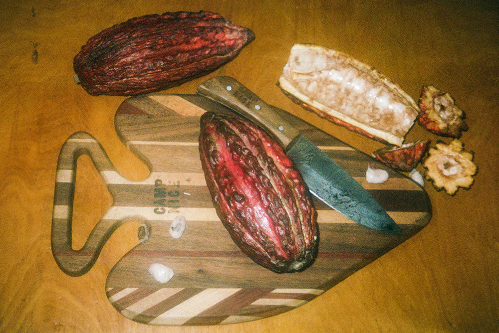 From Bean to Bar: The Journey of Chocolate from the Cacao Pod